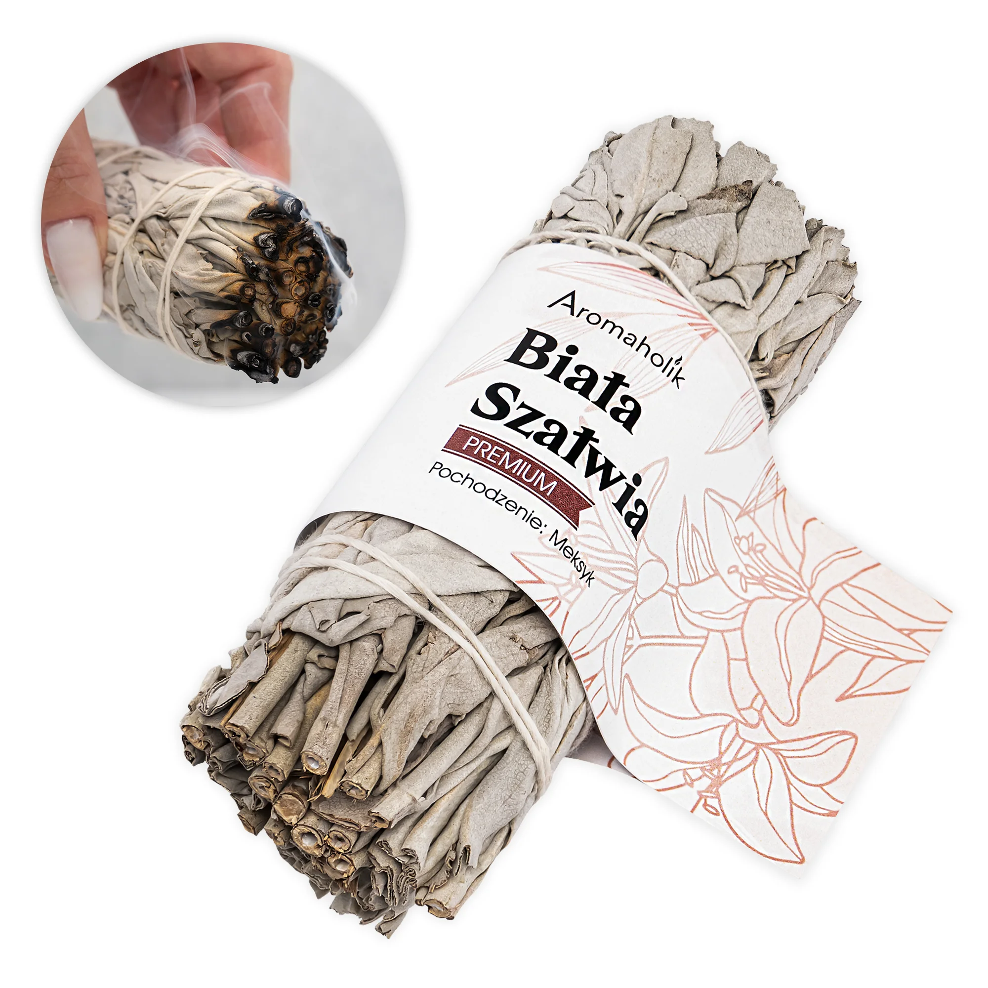 Biała Szałwia - 13cm - obrazek 2