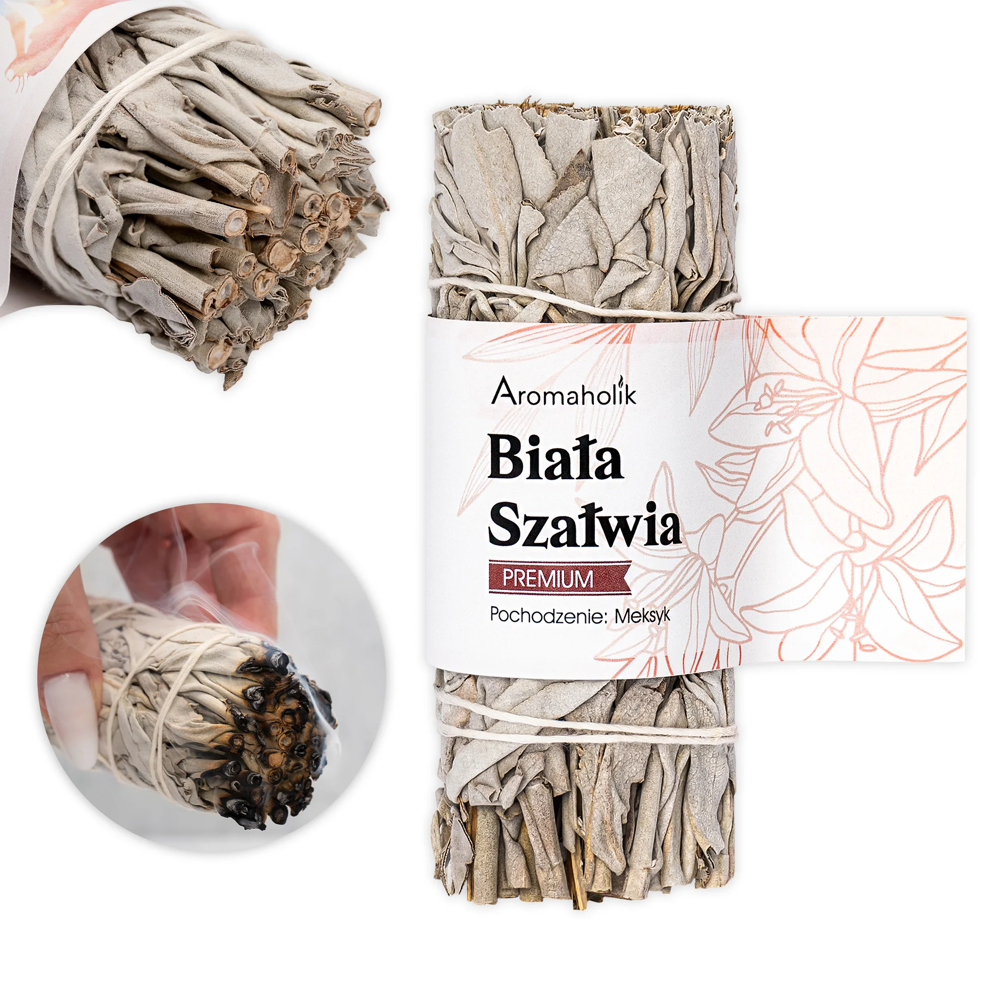 Biała Szałwia - 13cm - obrazek 3